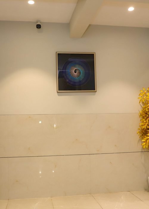 IMG_7900 IMG_7900